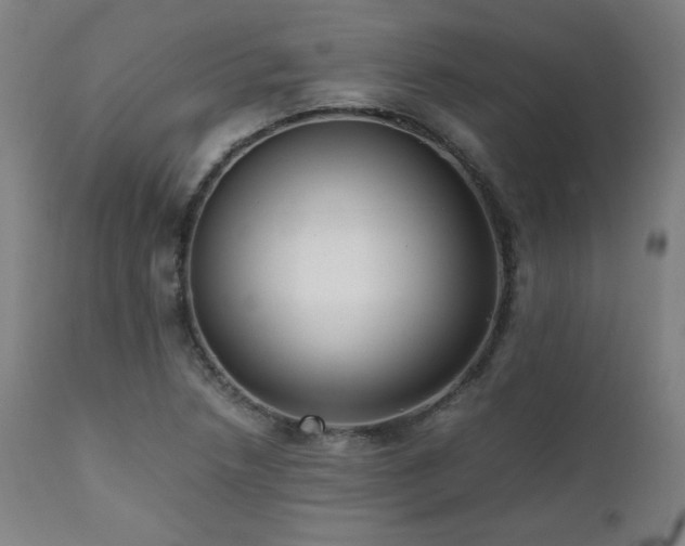 X0000112051218200908041143