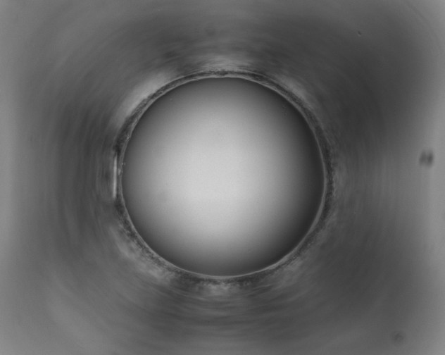 X0000112051219200908041143