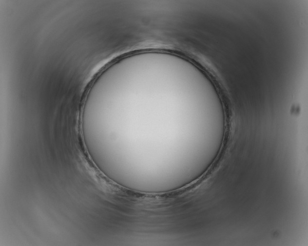 X0000112051220200908041143