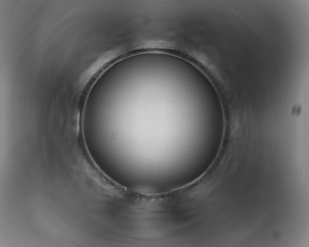X0000112051221200908041143