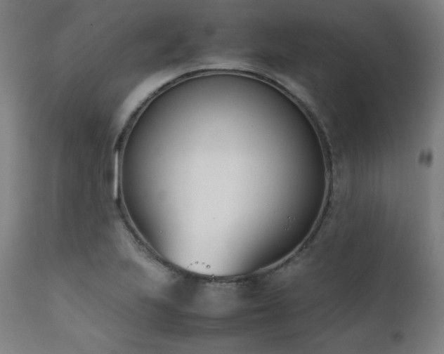 X0000112051223200908041143