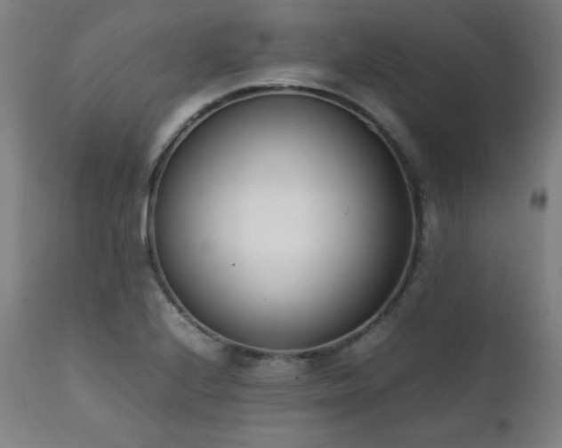 X0000112051224200908041143