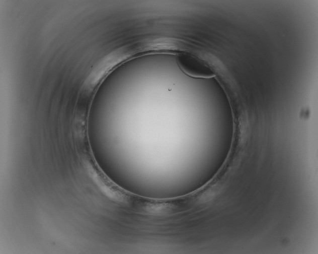 X0000112051225200908041143