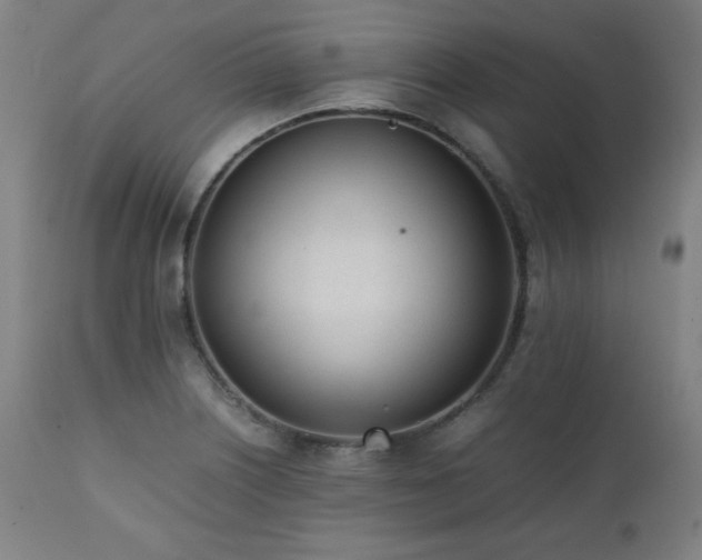 X0000112051226200908041143