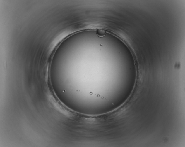 X0000112051227200908041143