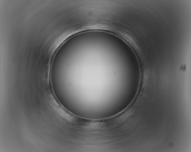 X0000112051228200908041143
