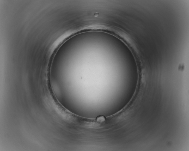 X0000112051229200908041143