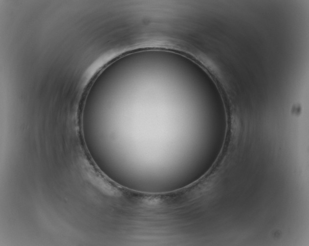X0000112051230200908041143