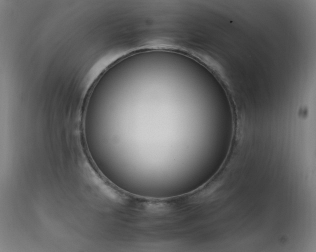 X0000112051231200908041143