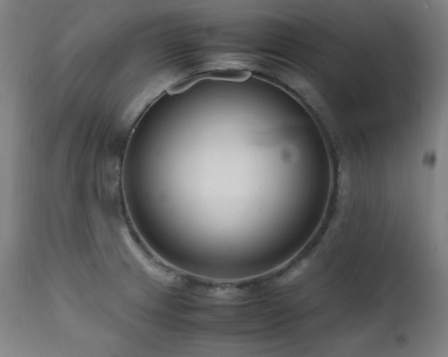 X0000112051233200908041143