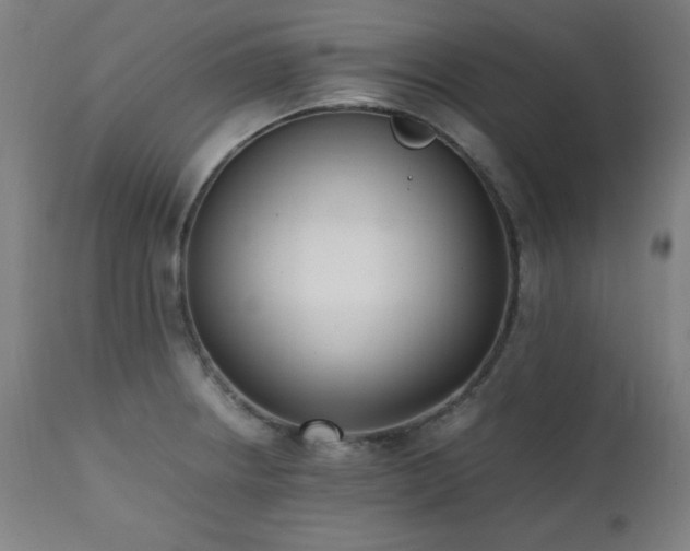 X0000112051234200908041143