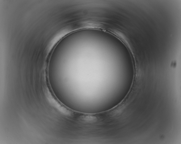 X0000112051235200908041143