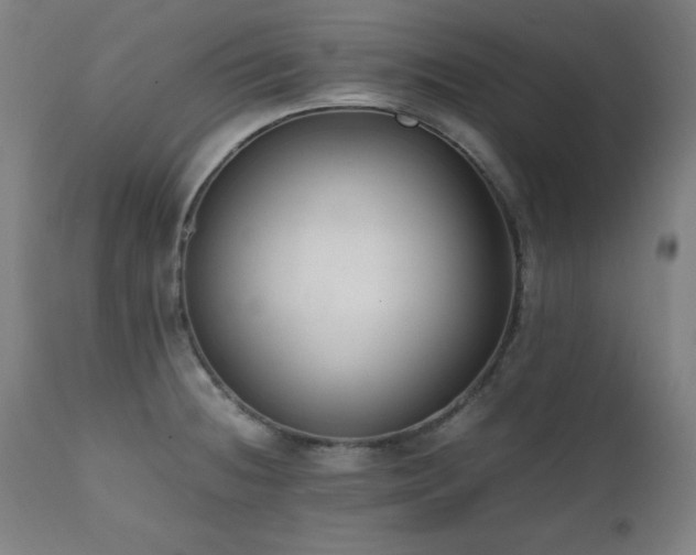 X0000112051236200908041143