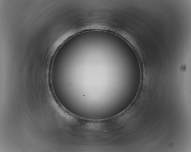 X0000112051237200908041143