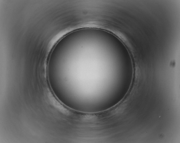 X0000112051238200908041143
