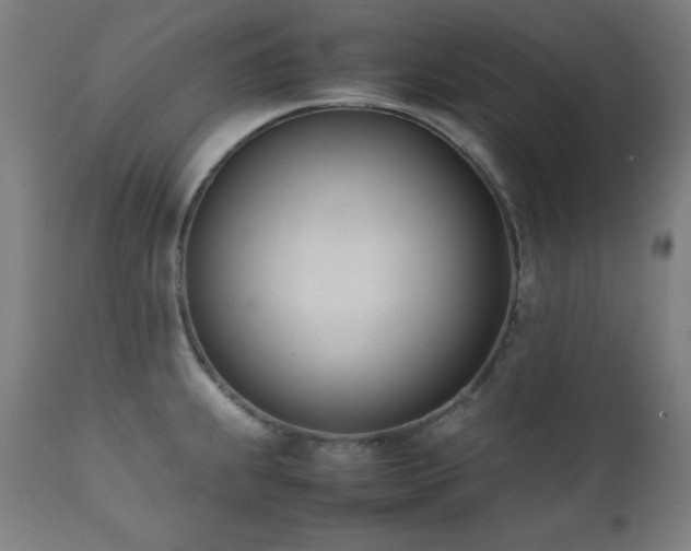X0000112051239200908041143