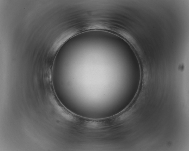 X0000112051241200908041143