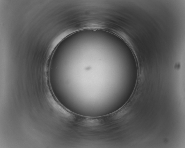 X0000112051243200908041143