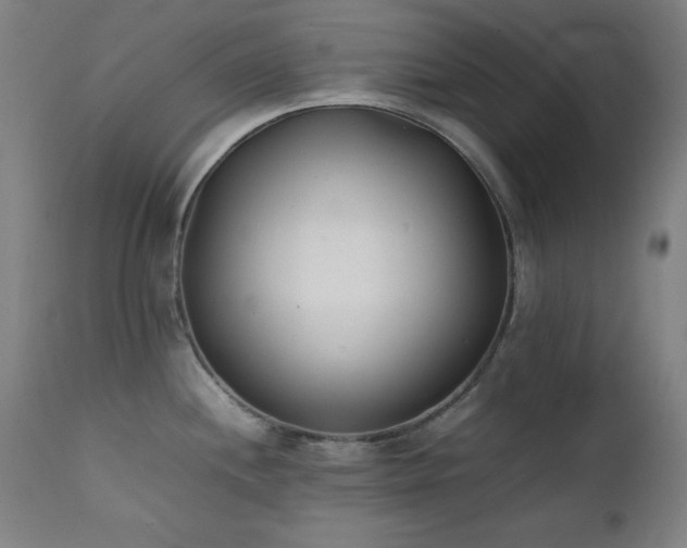 X0000112051244200908041143