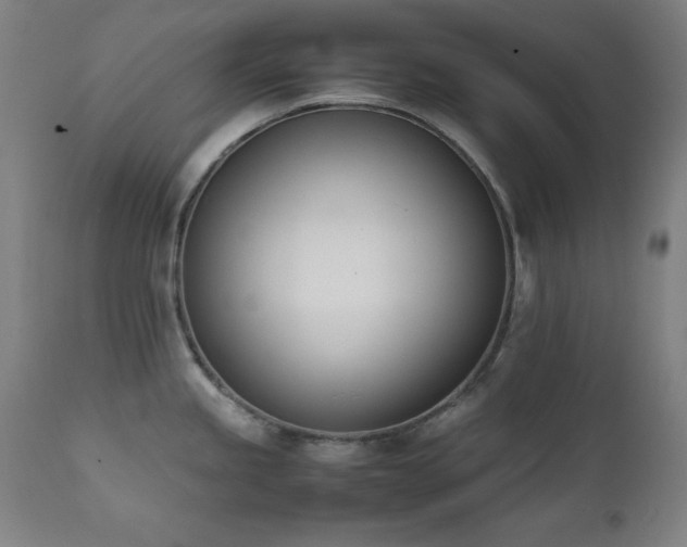 X0000112051245200908041143