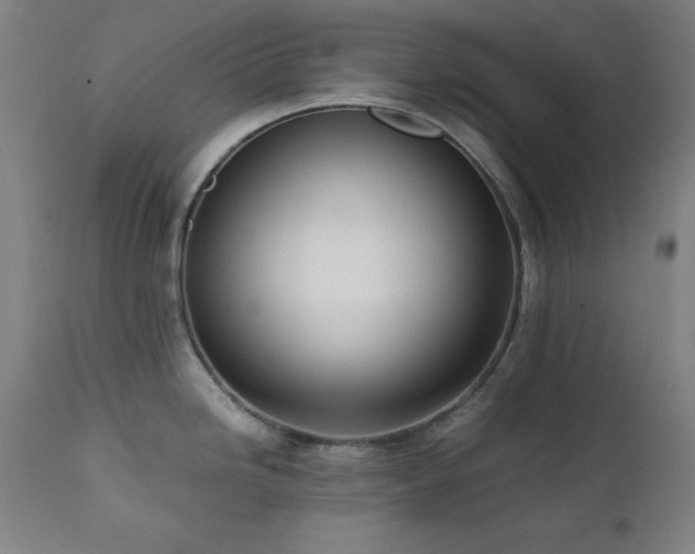 X0000112051246200908041143