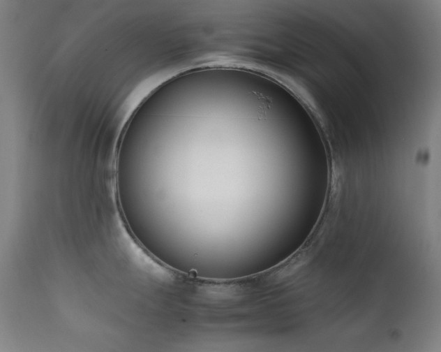 X0000112051247200908041143