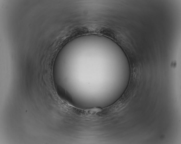 X0000112051249200908041142