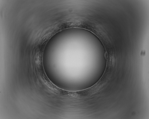 X0000112051250200908041142