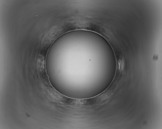 X0000112051251200908041142
