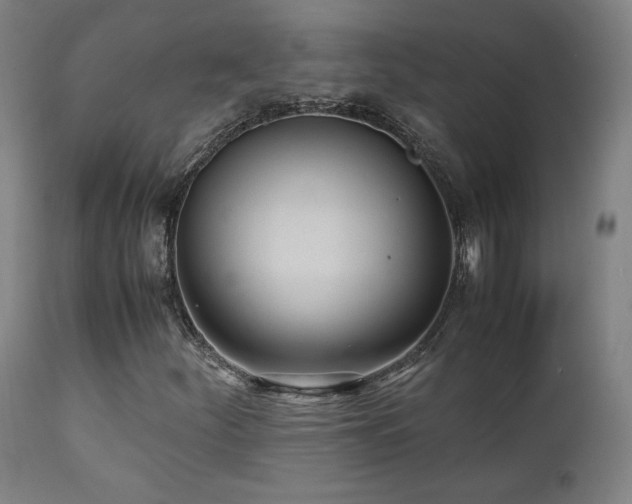 X0000112051252200908041142