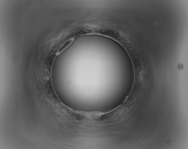 X0000112051253200908041142