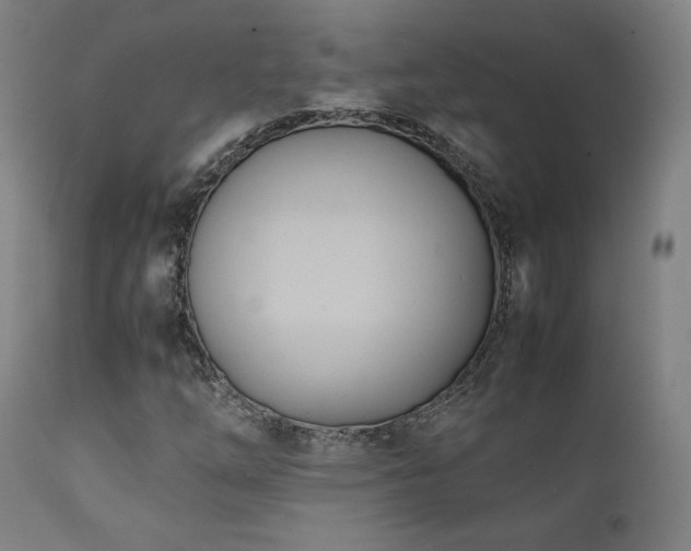 X0000112051254200908041142