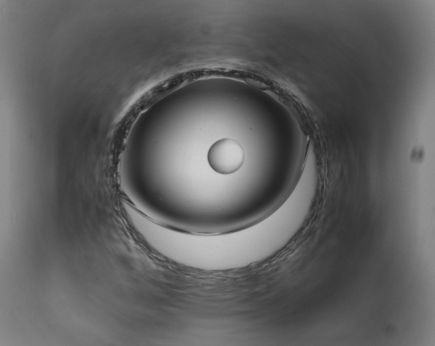 X0000112051256200908041142
