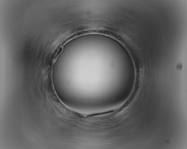 X0000112051257200908041142