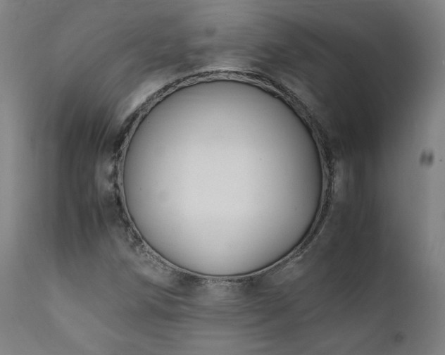 X0000112051258200908041142
