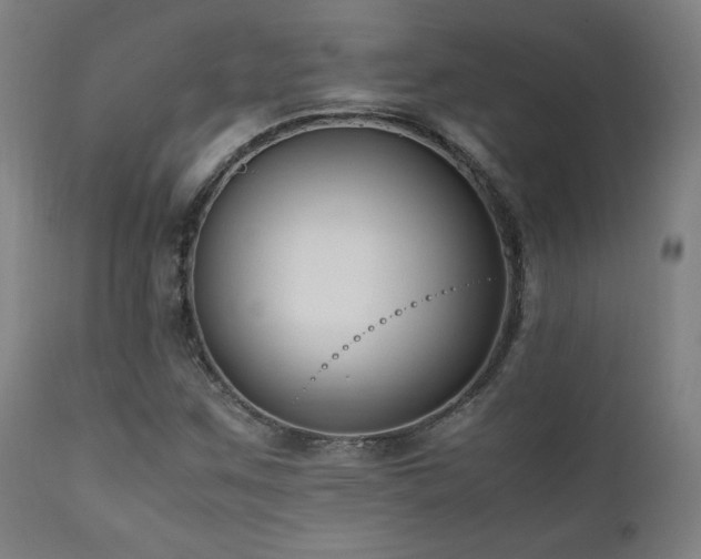 X0000112051259200908041142