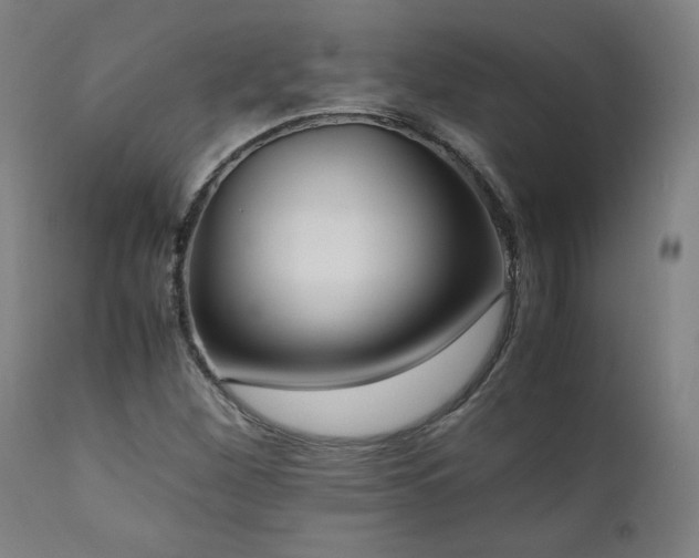 X0000112051260200908041142