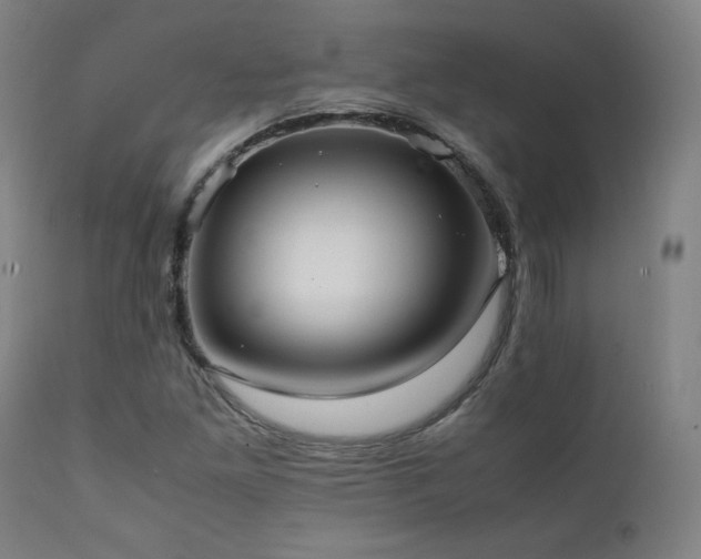X0000112051261200908041142