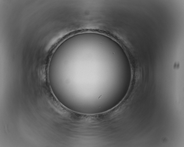 X0000112051262200908041142