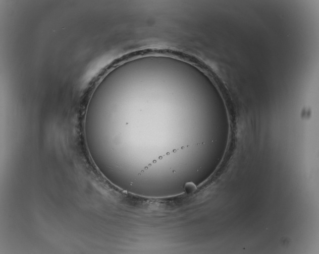 X0000112051263200908041142