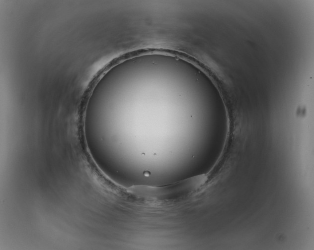 X0000112051264200908041142
