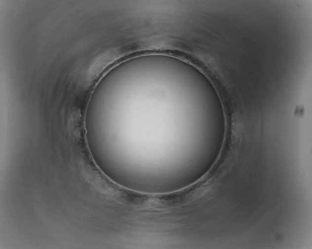X0000112051265200908041142