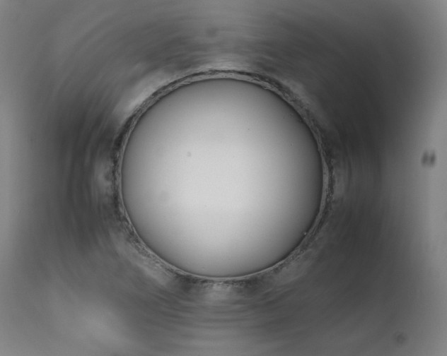 X0000112051266200908041142