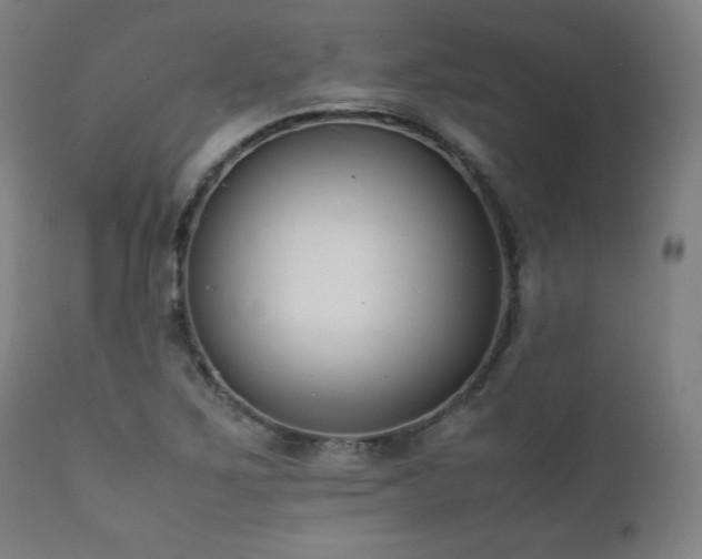 X0000112051267200908041142