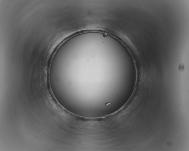 X0000112051268200908041142