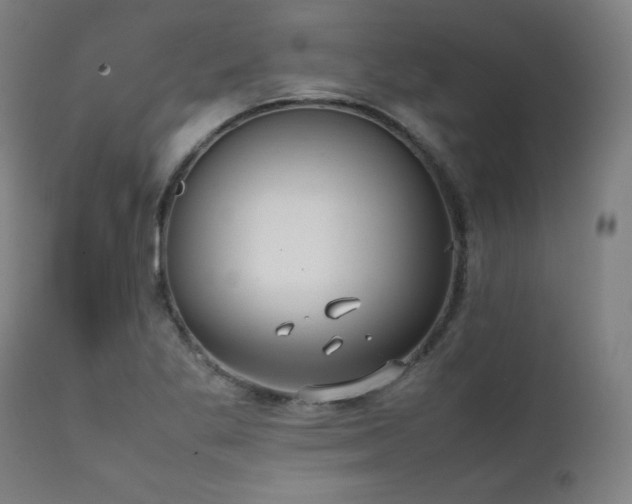 X0000112051269200908041142
