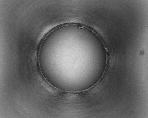 X0000112051270200908041142