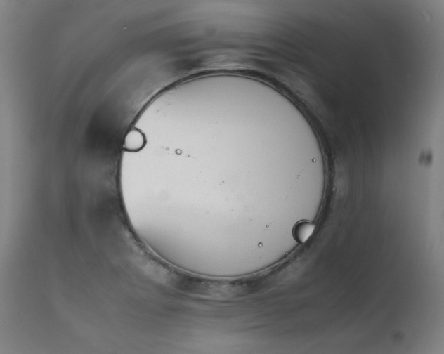 X0000112051273200908041142