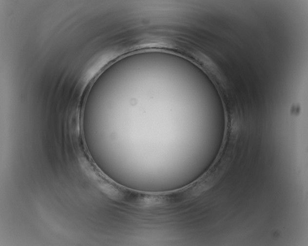 X0000112051274200908041142