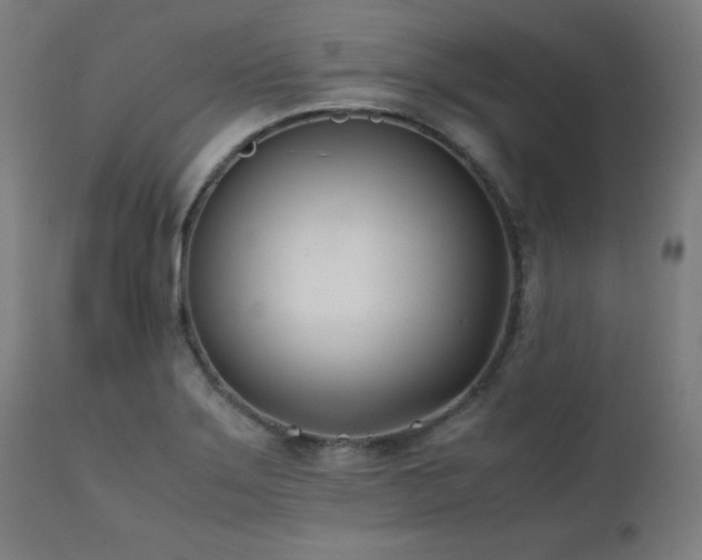 X0000112051275200908041142